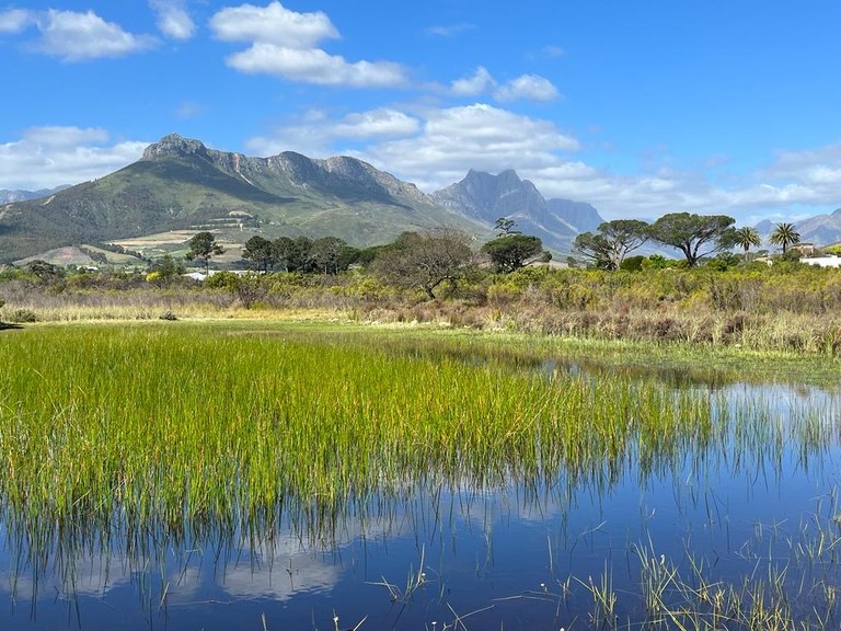 schöner Blick auf die Berge in Stellenbosch